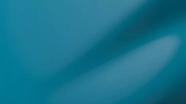 Miami Blue
