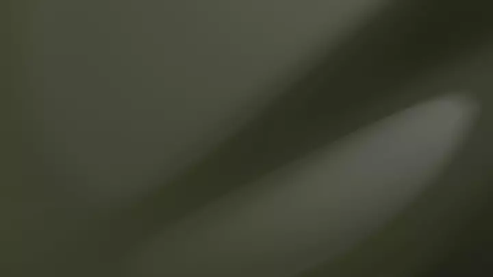 Nato Olive