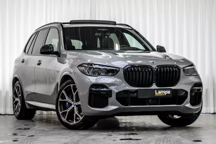 BMW X5 (G05) painted in Nardo Grey