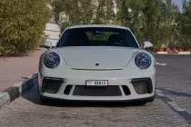 ss1-6619