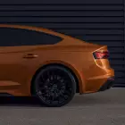 337531740-753978996243123-5650965318735547990-n