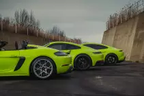 424735425-393557019986187-3827455140672772717-n