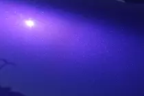 54074904764-c246ca557b-k