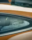 557434755-1111149791127713-1023498251336817092-n