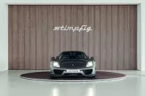 stimpfig-918-spyder-grau-sk-008