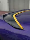 488972919-1281859423577617-5436642955247031216-n