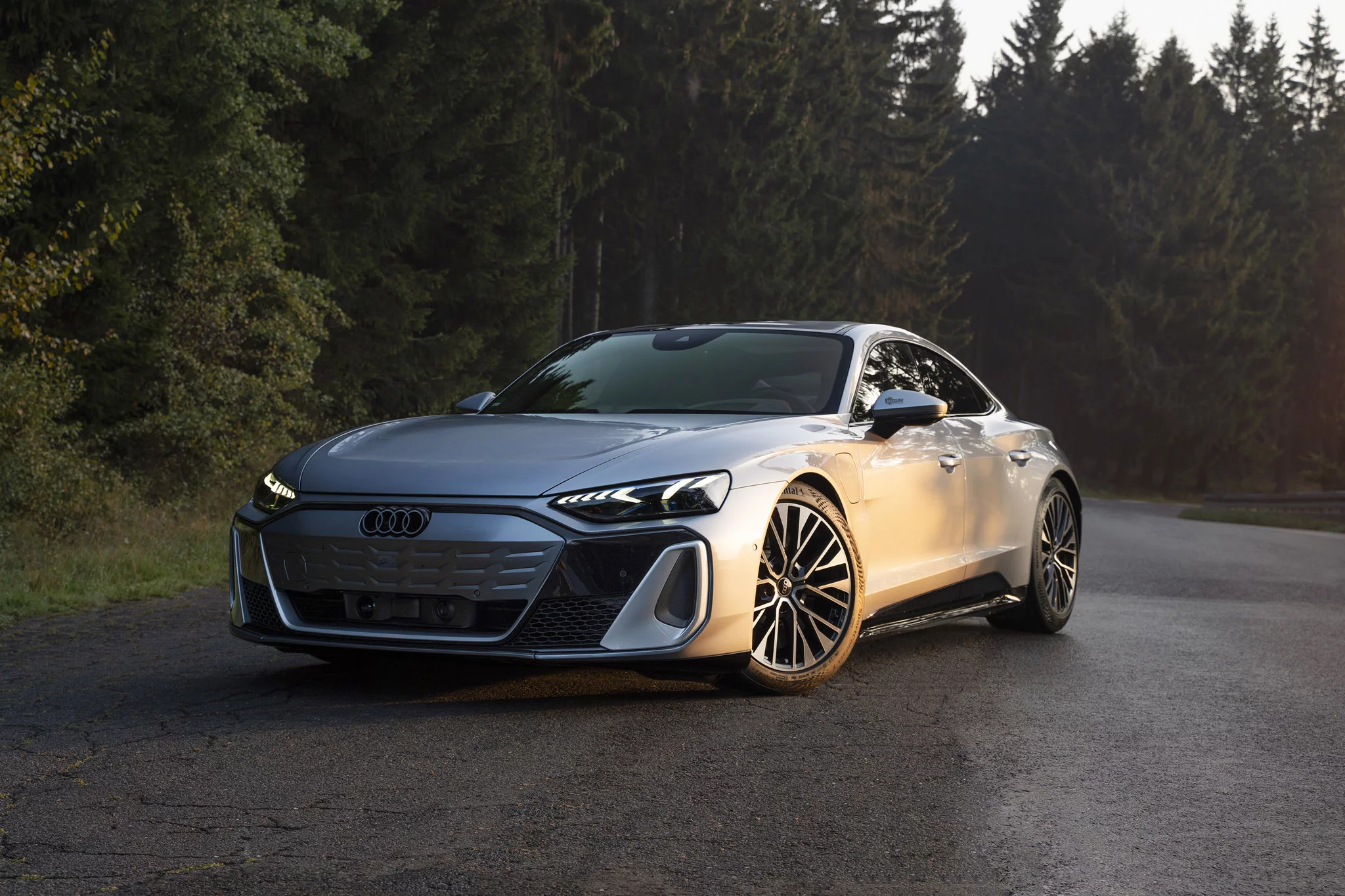 Florett Silver Audi e-tron GT