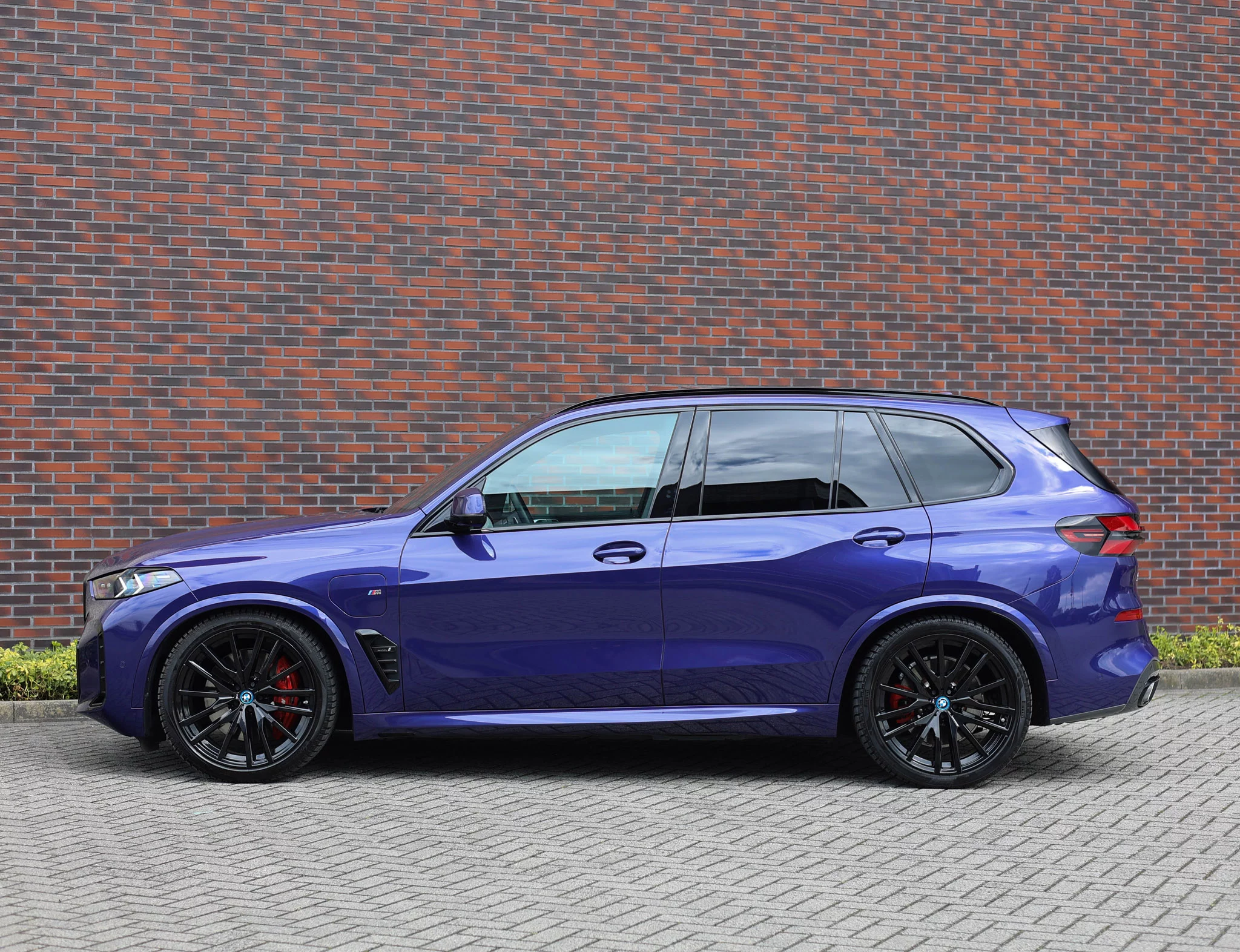 Velvet Blue BMW X5