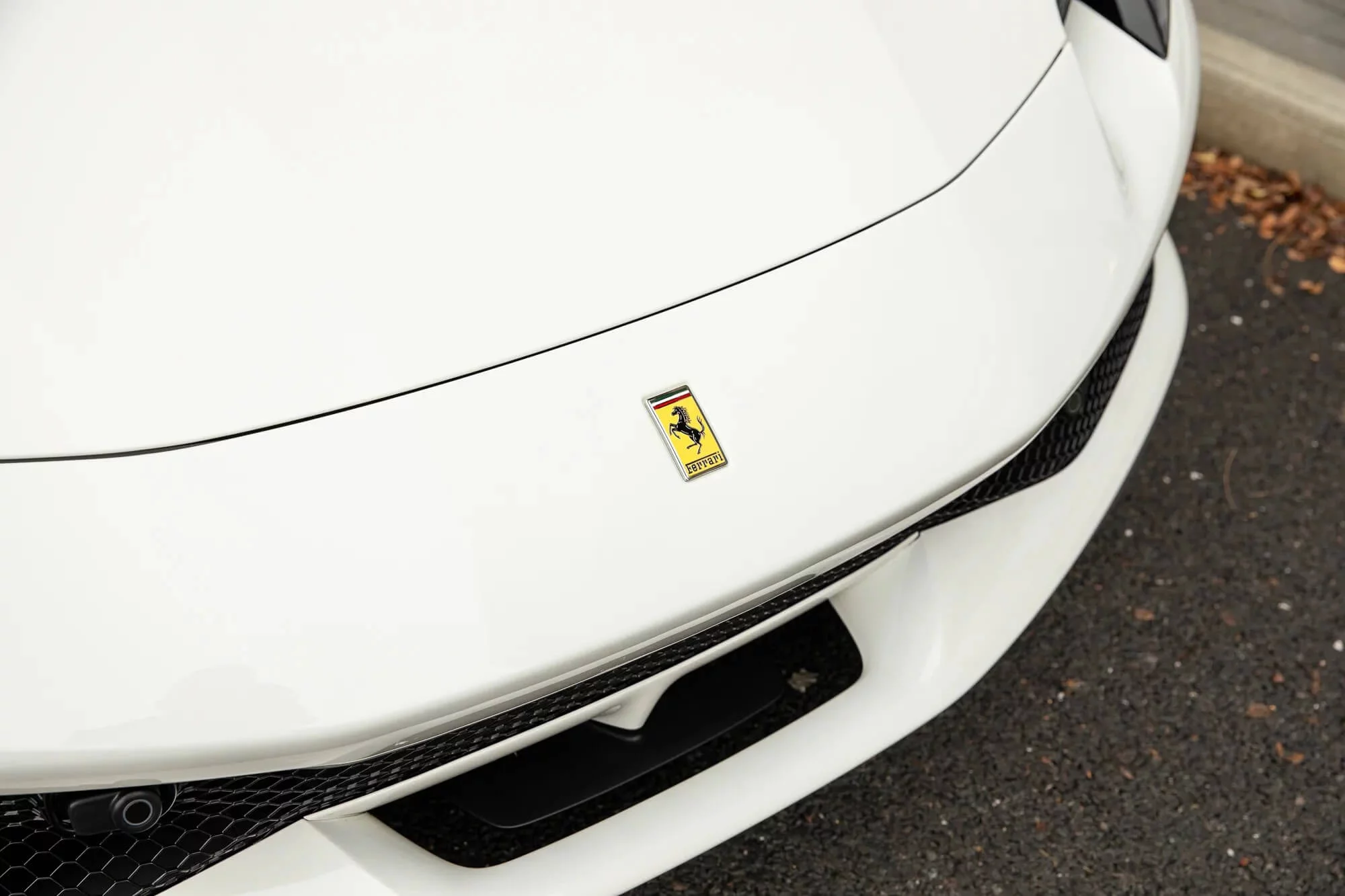 Bianco Avus Ferrari 296