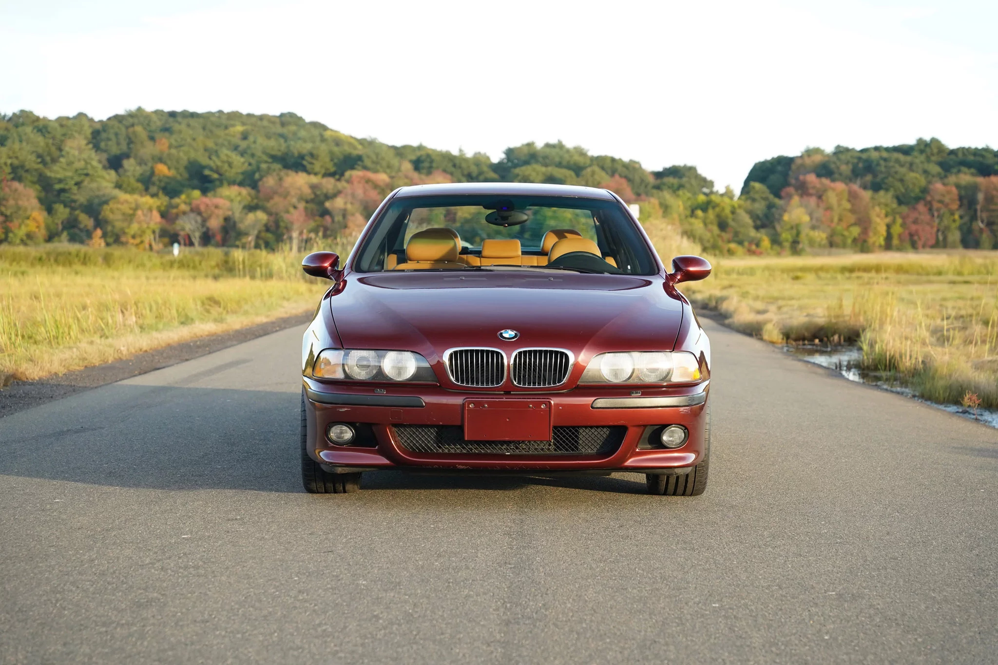 Royal Red BMW M5