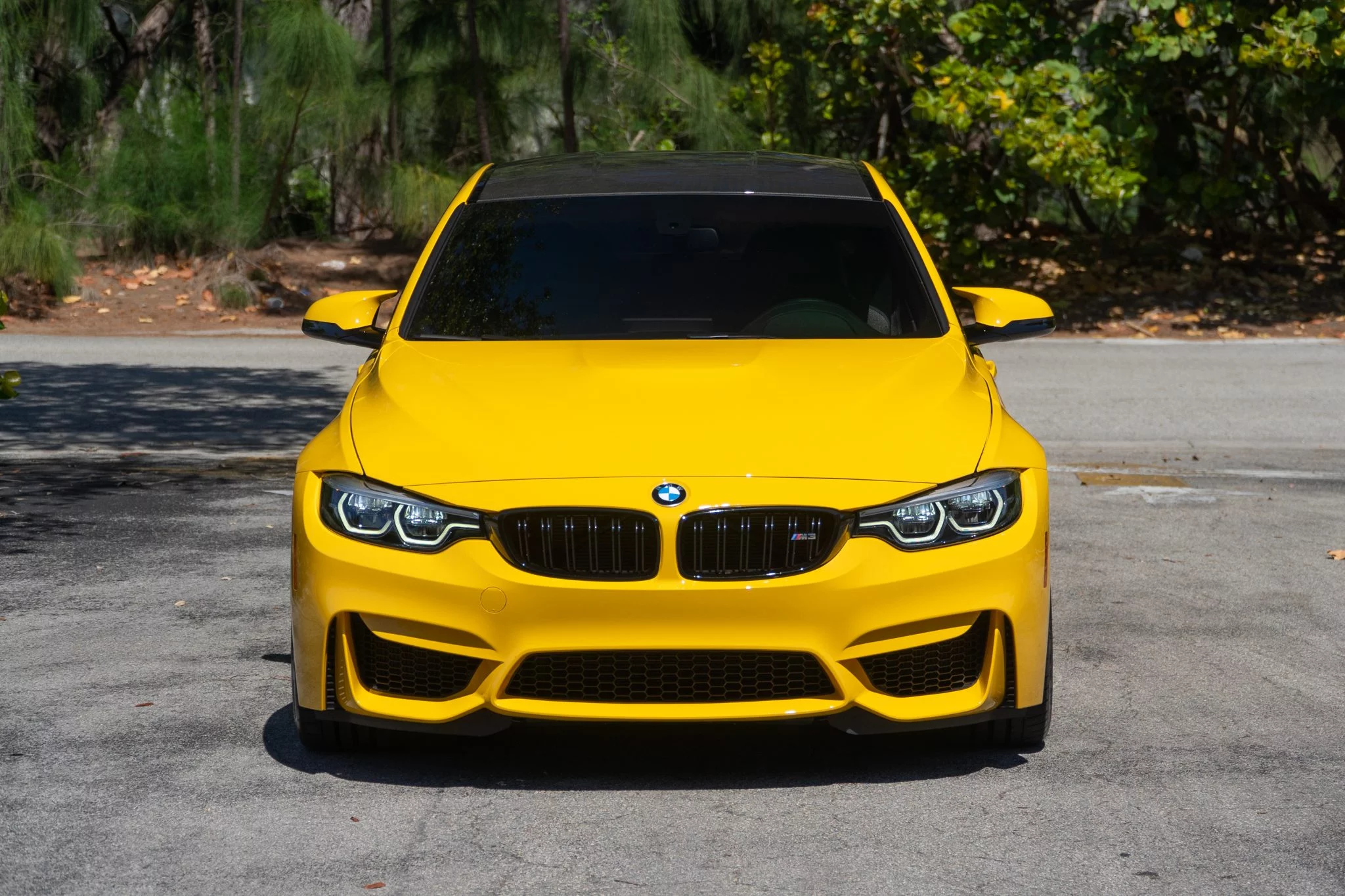 Speed Yellow BMW M3