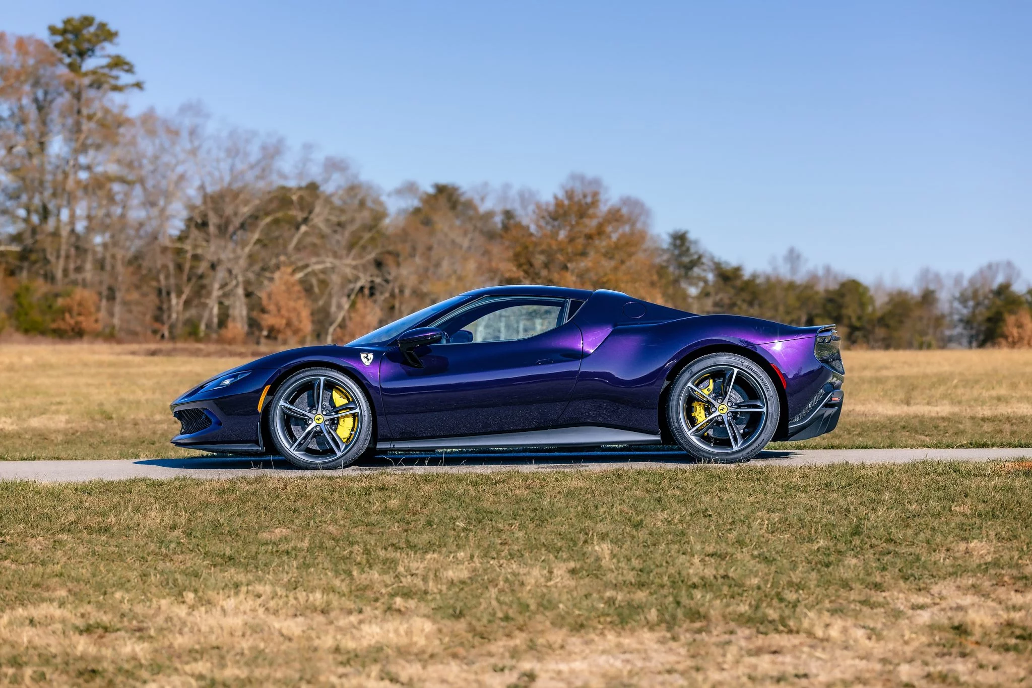 Viola Hong Kong Ferrari 296