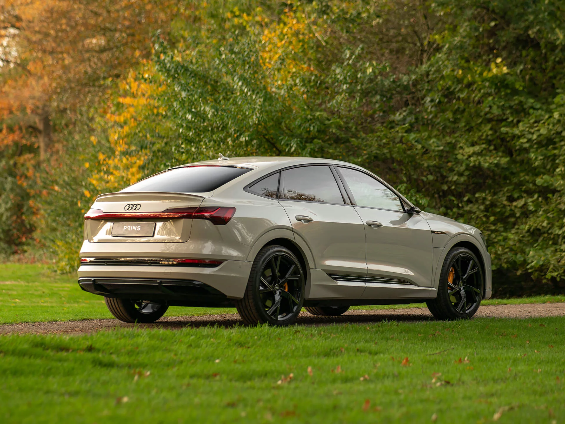 Siam Beige Audi e-tron