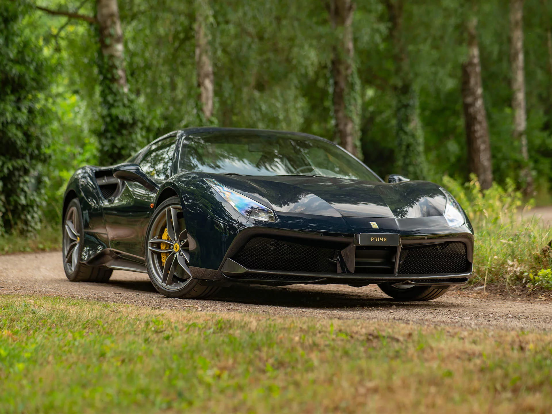 Nuovo Blu Pozzi Ferrari 488