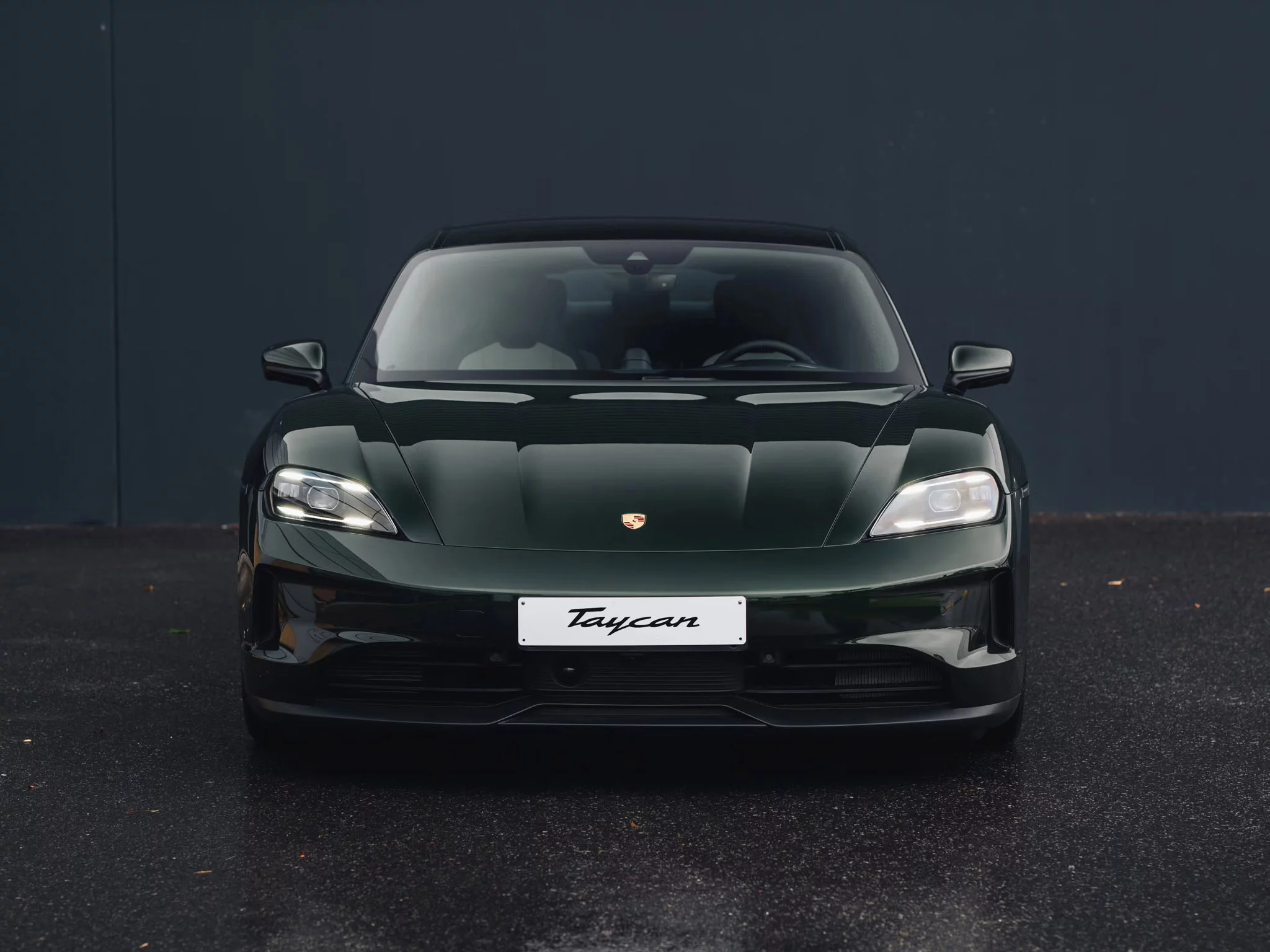 Oak Green Metallic Neo Porsche Taycan