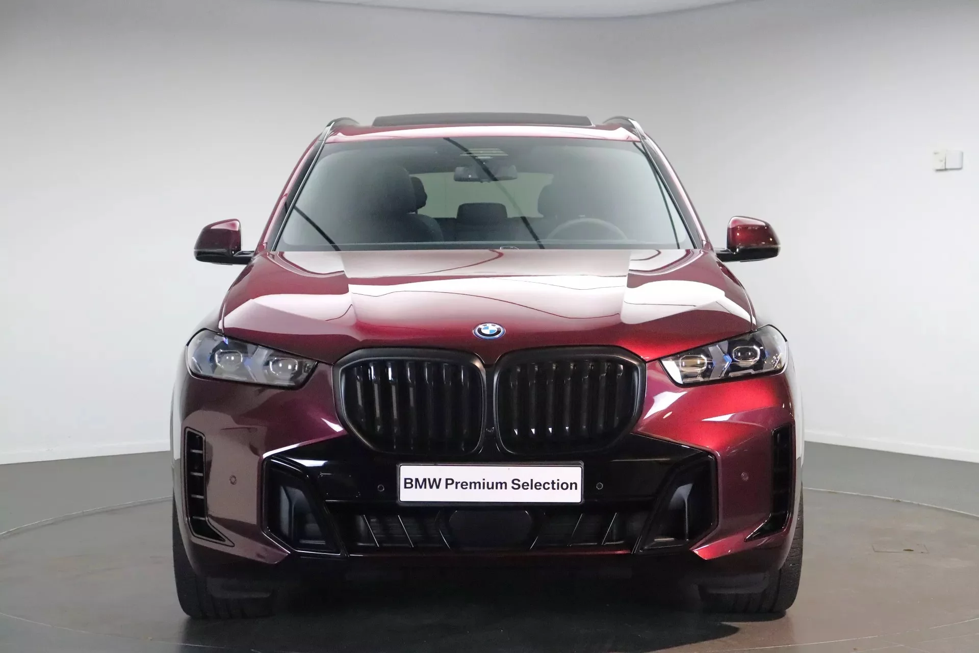 Wildberry BMW X5