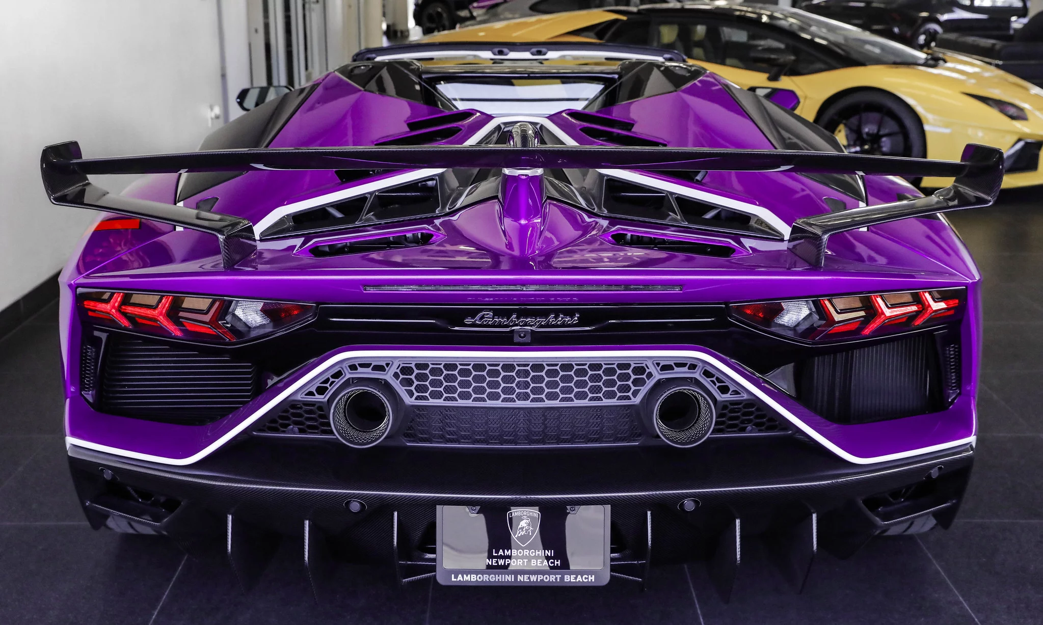 Viola Pasifae Lamborghini Aventador