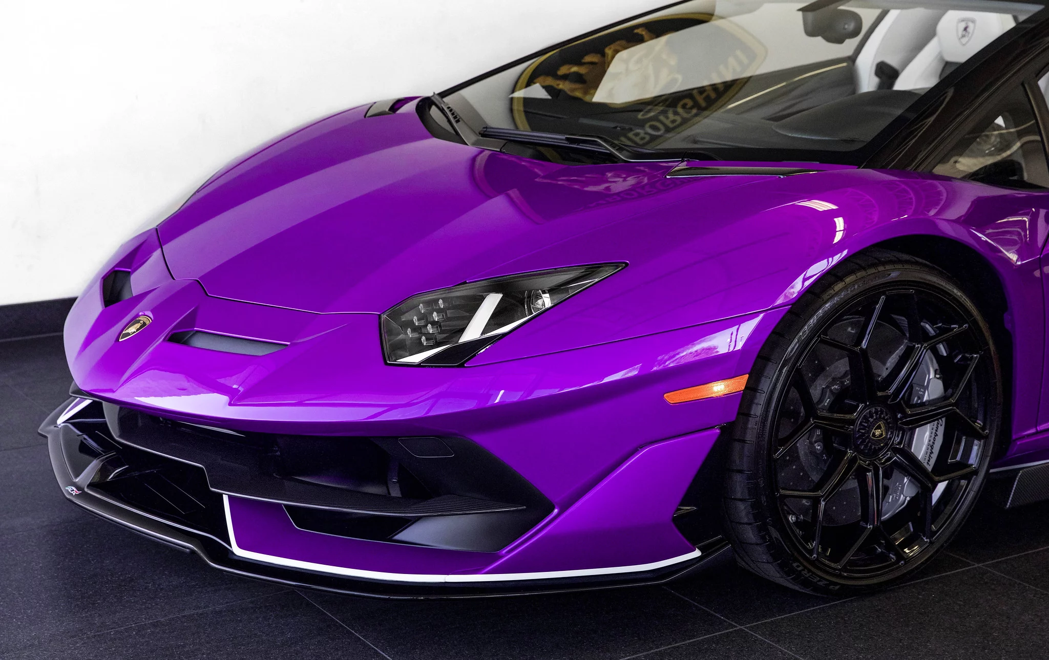 Viola Pasifae Lamborghini Aventador