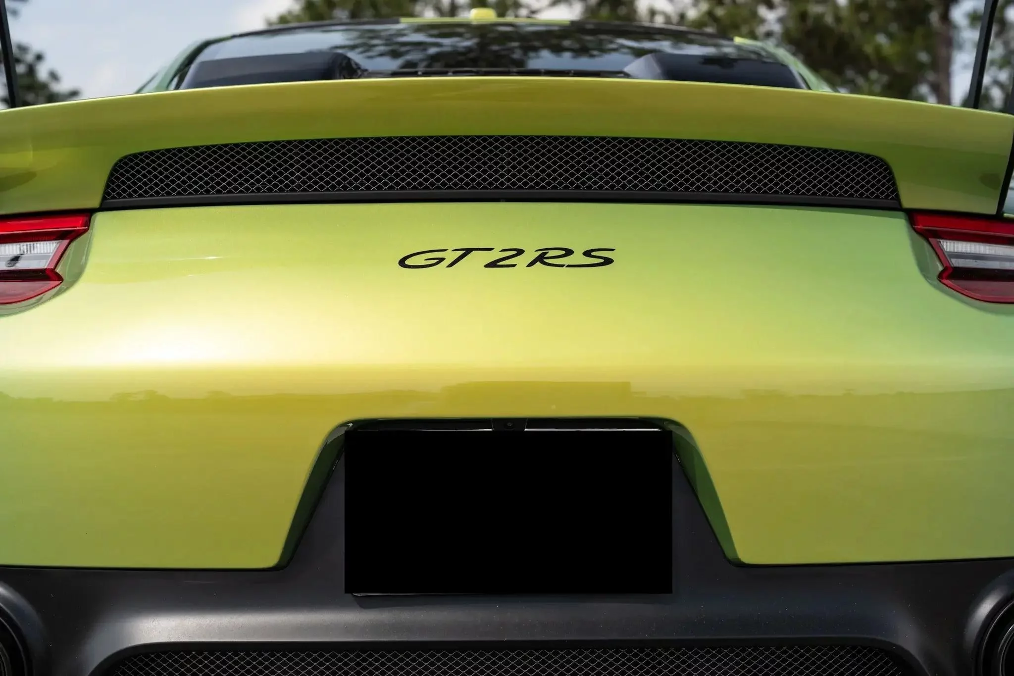 Python Green Chromaflair Porsche 911 GT2 RS