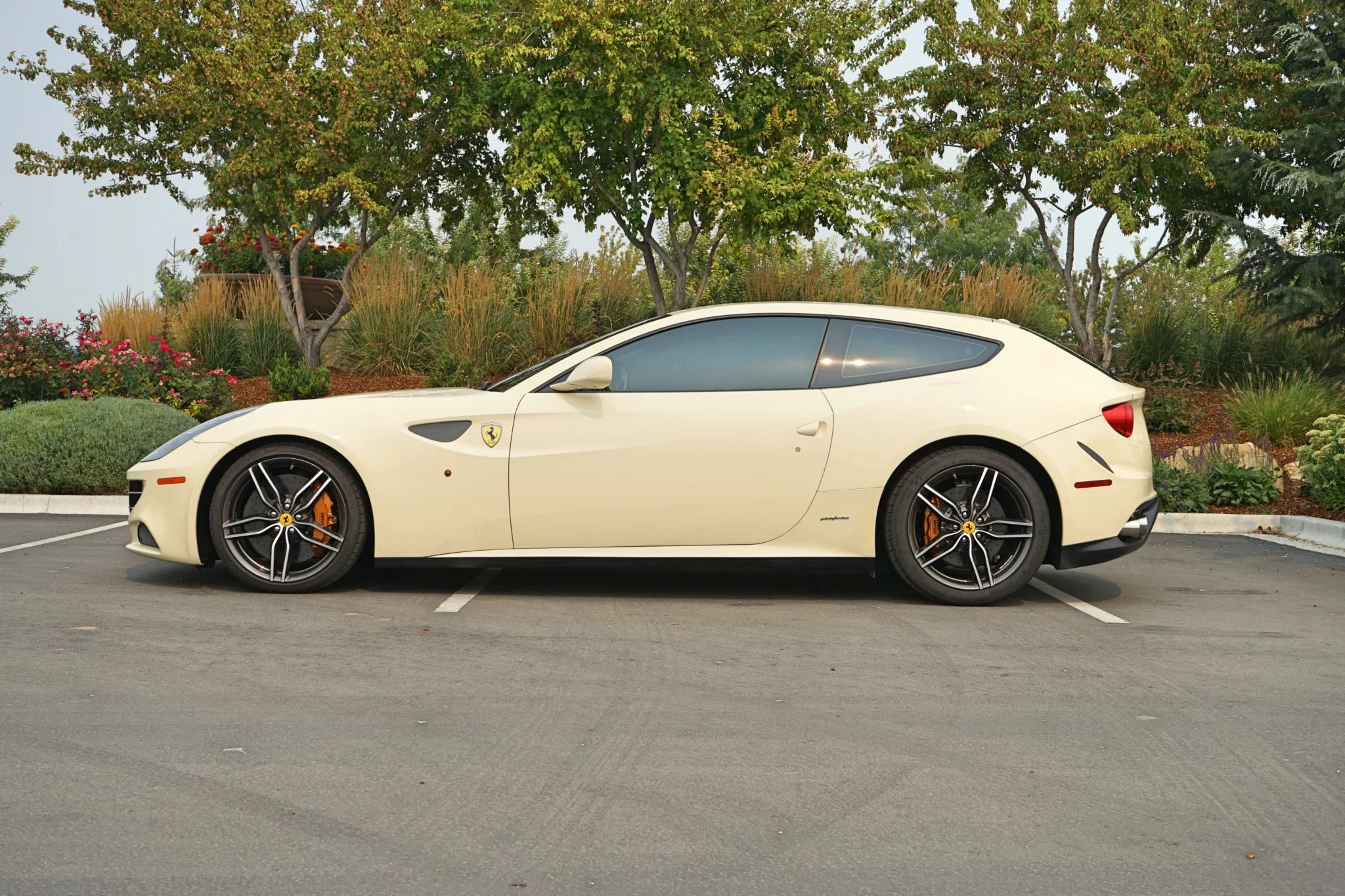 Avorio Ferrari FF