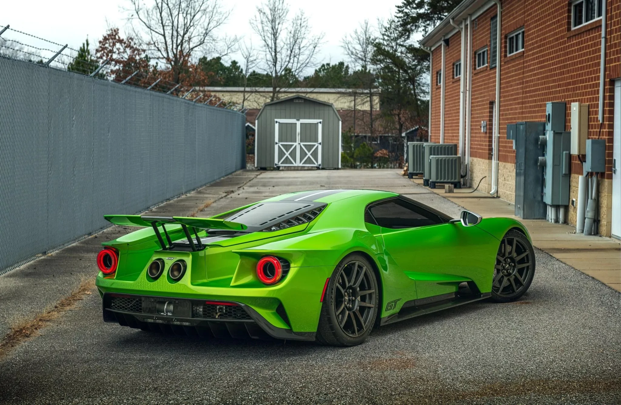 Snakeskin Green Ford GT