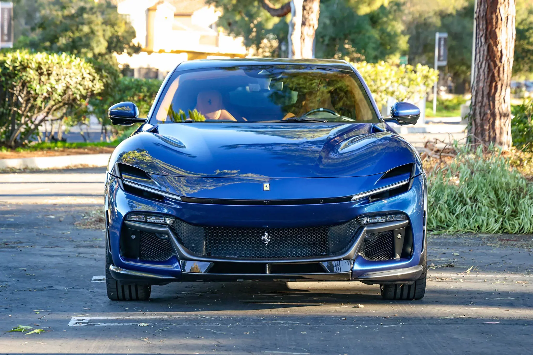 Blu NART Ferrari Purosangue