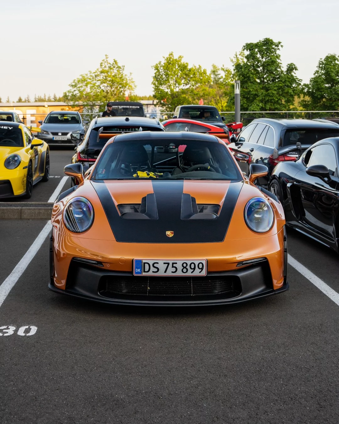 Nordic Gold Metallic Porsche 911 GT3 RS