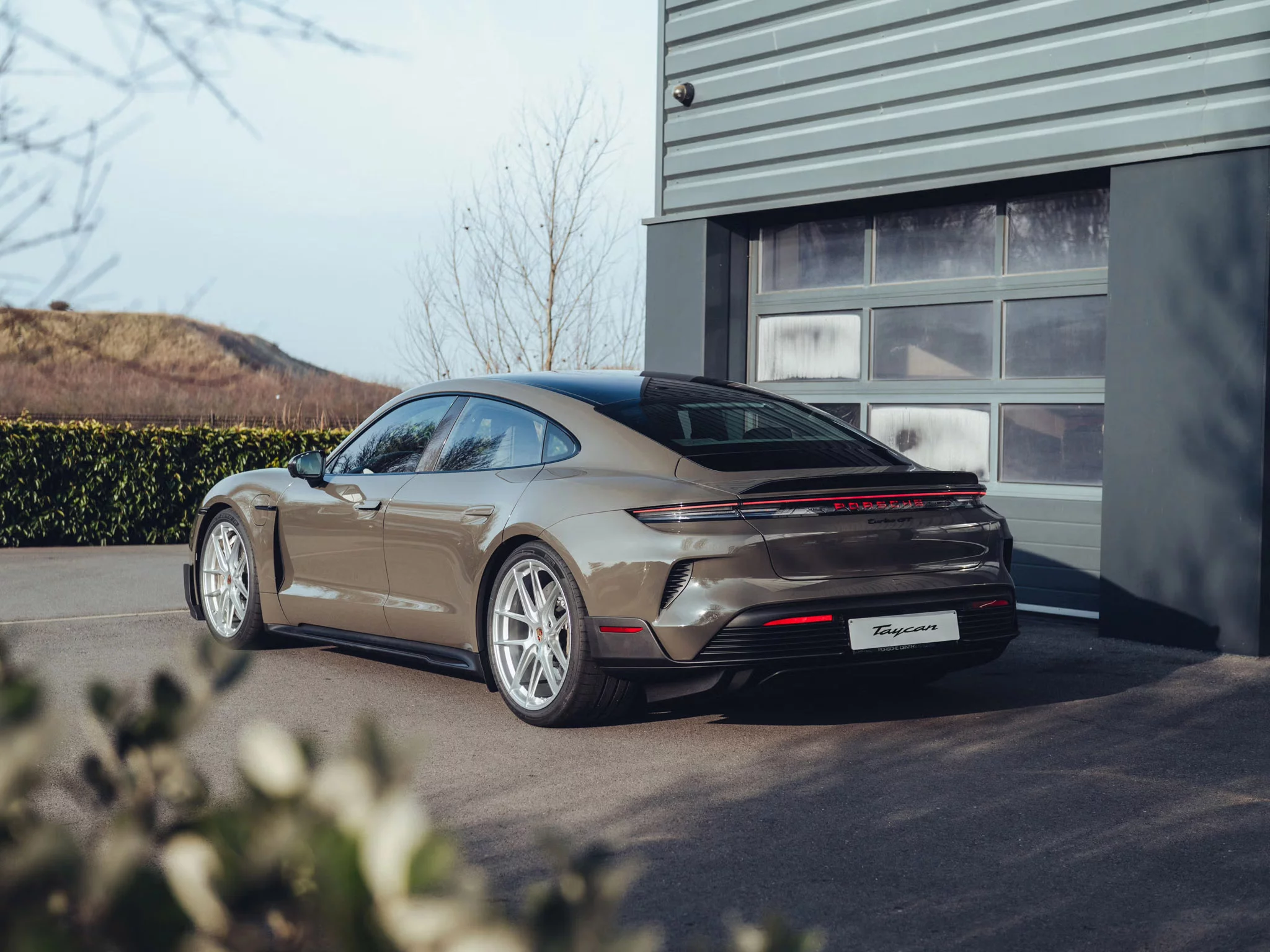 Alex Grey Porsche Taycan