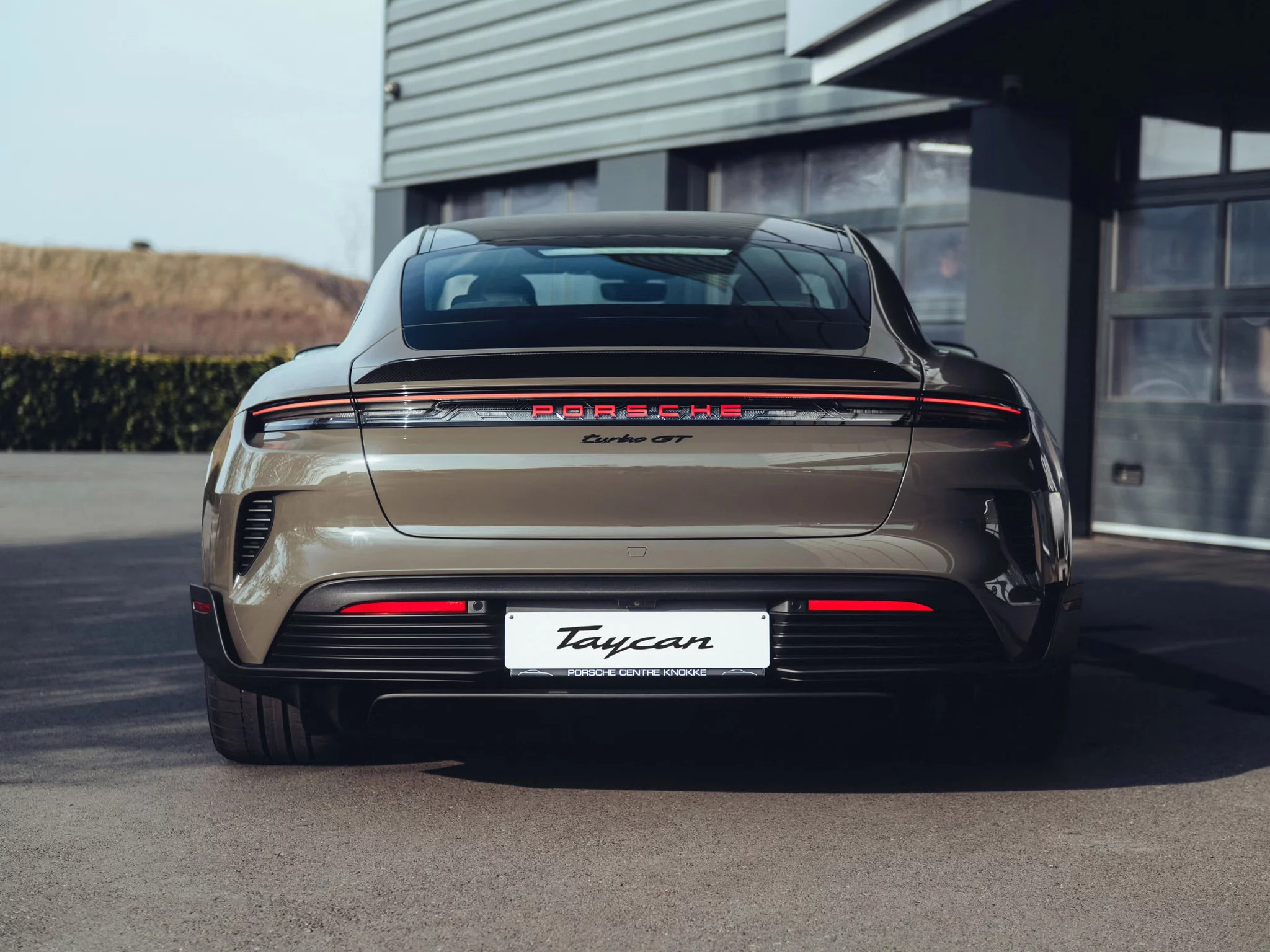 Alex Grey Porsche Taycan