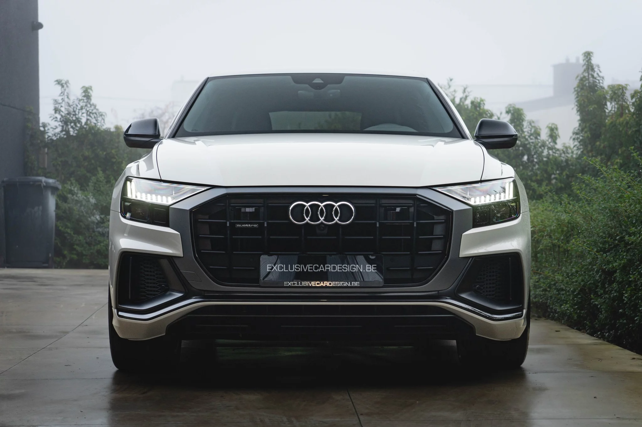 Vicuna Beige Audi Q8