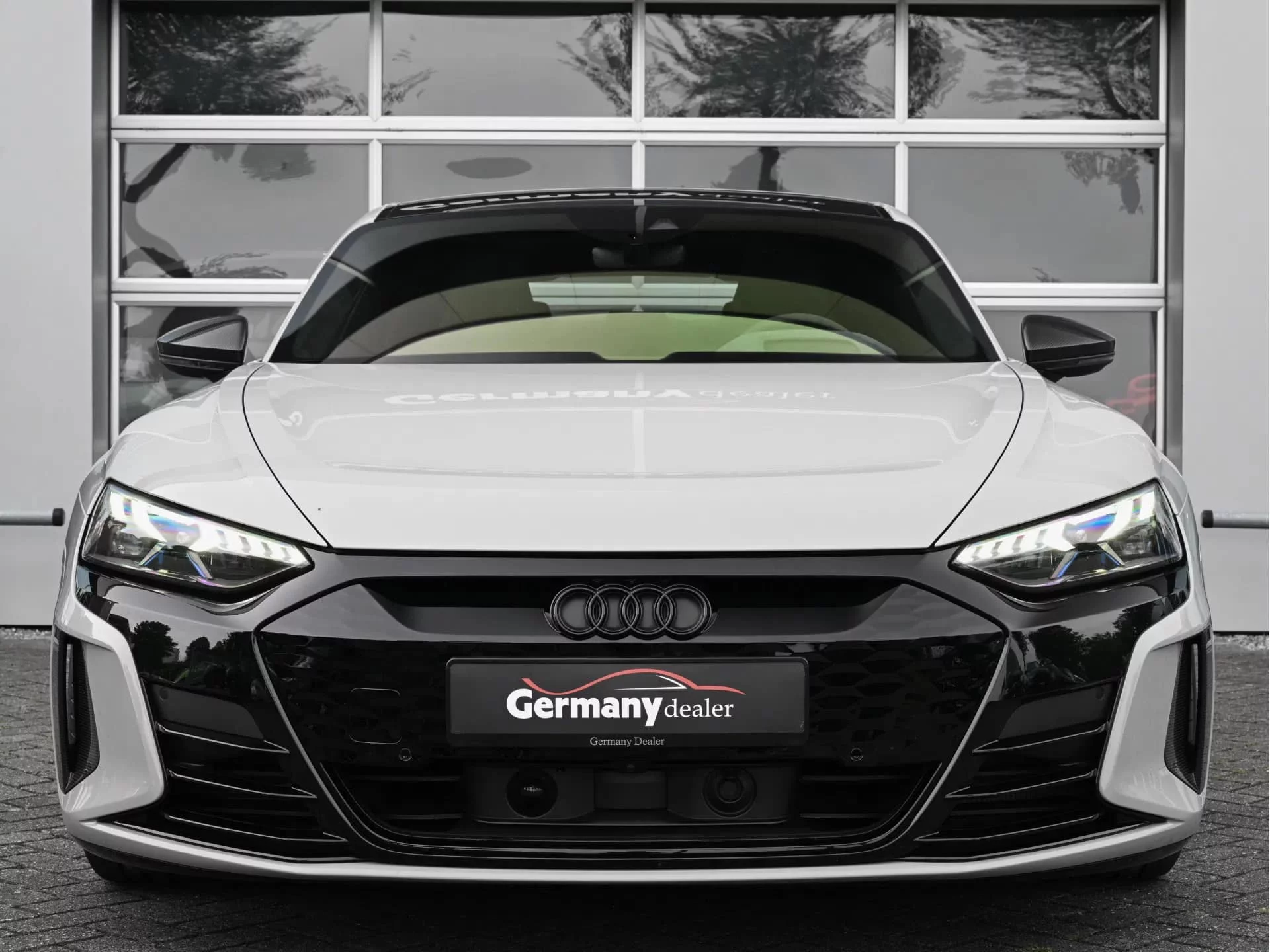 Crayon Audi RS e-tron GT