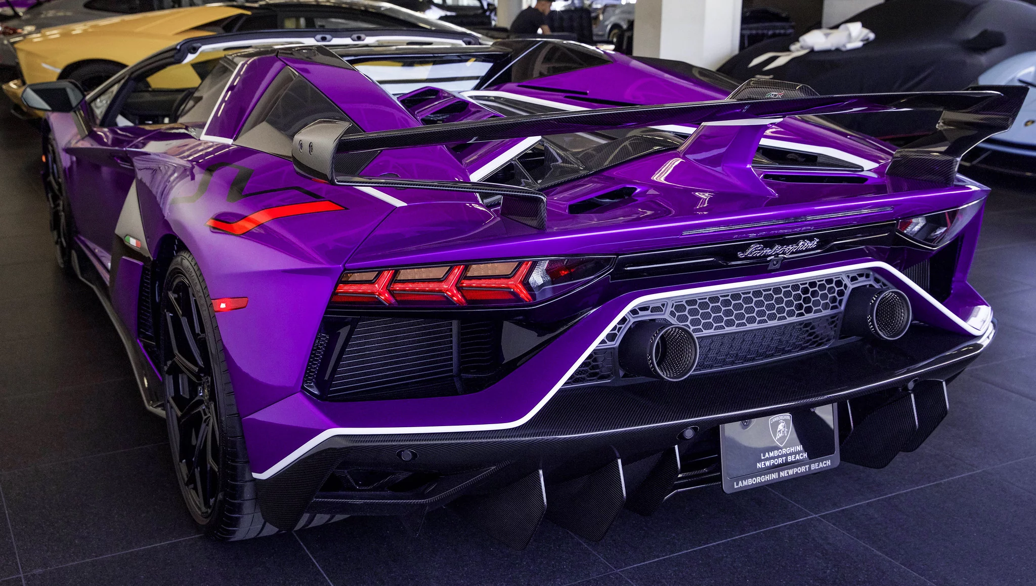 Viola Pasifae Lamborghini Aventador