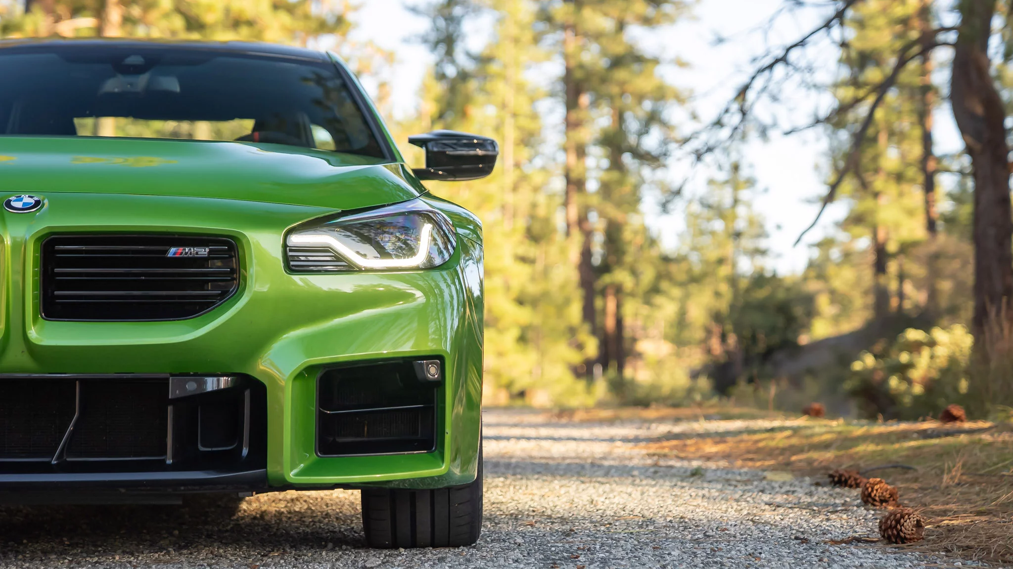 Java Green II BMW M2