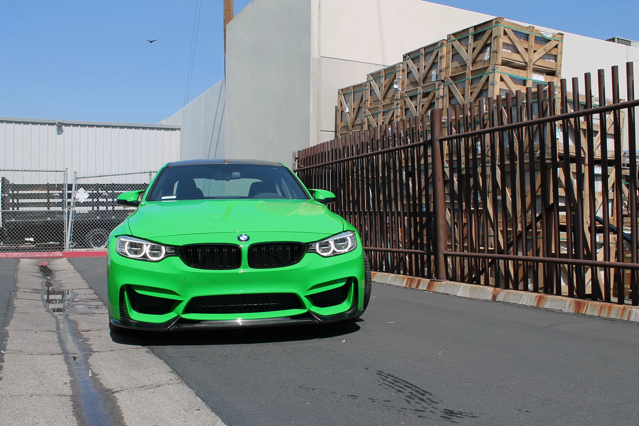 Signal Green BMW M3