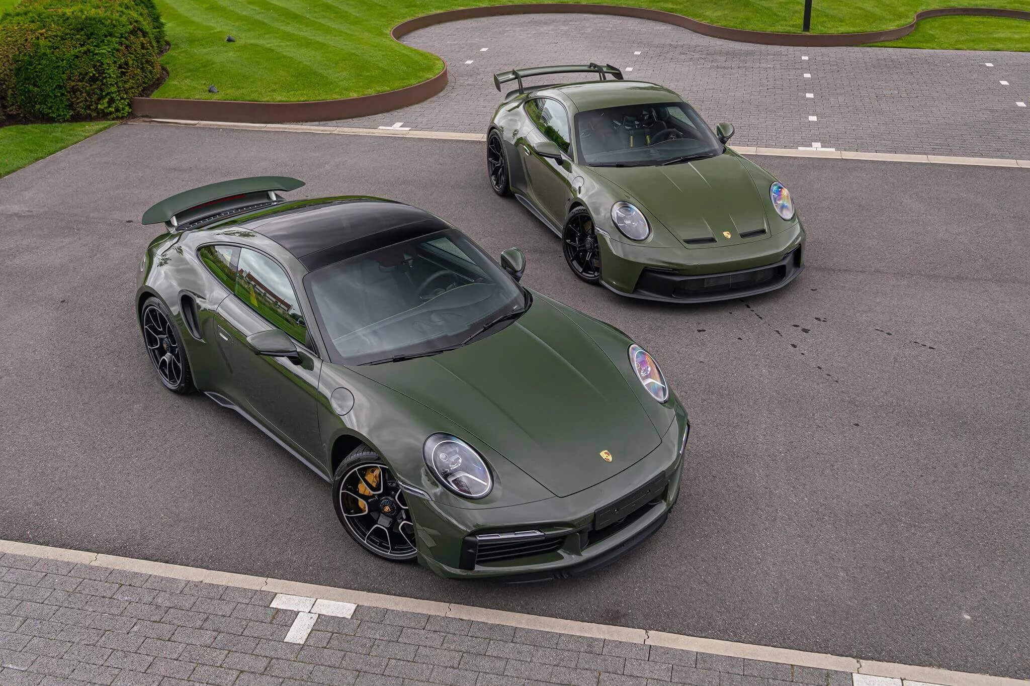 Black Olive vs Nato Olive