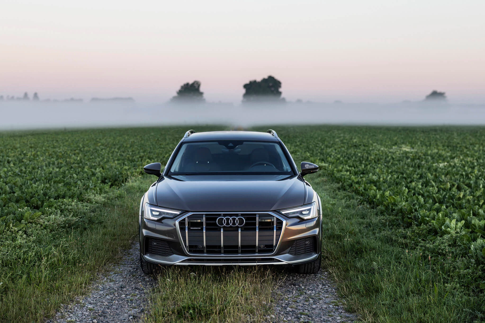 Soho Brown Audi A6