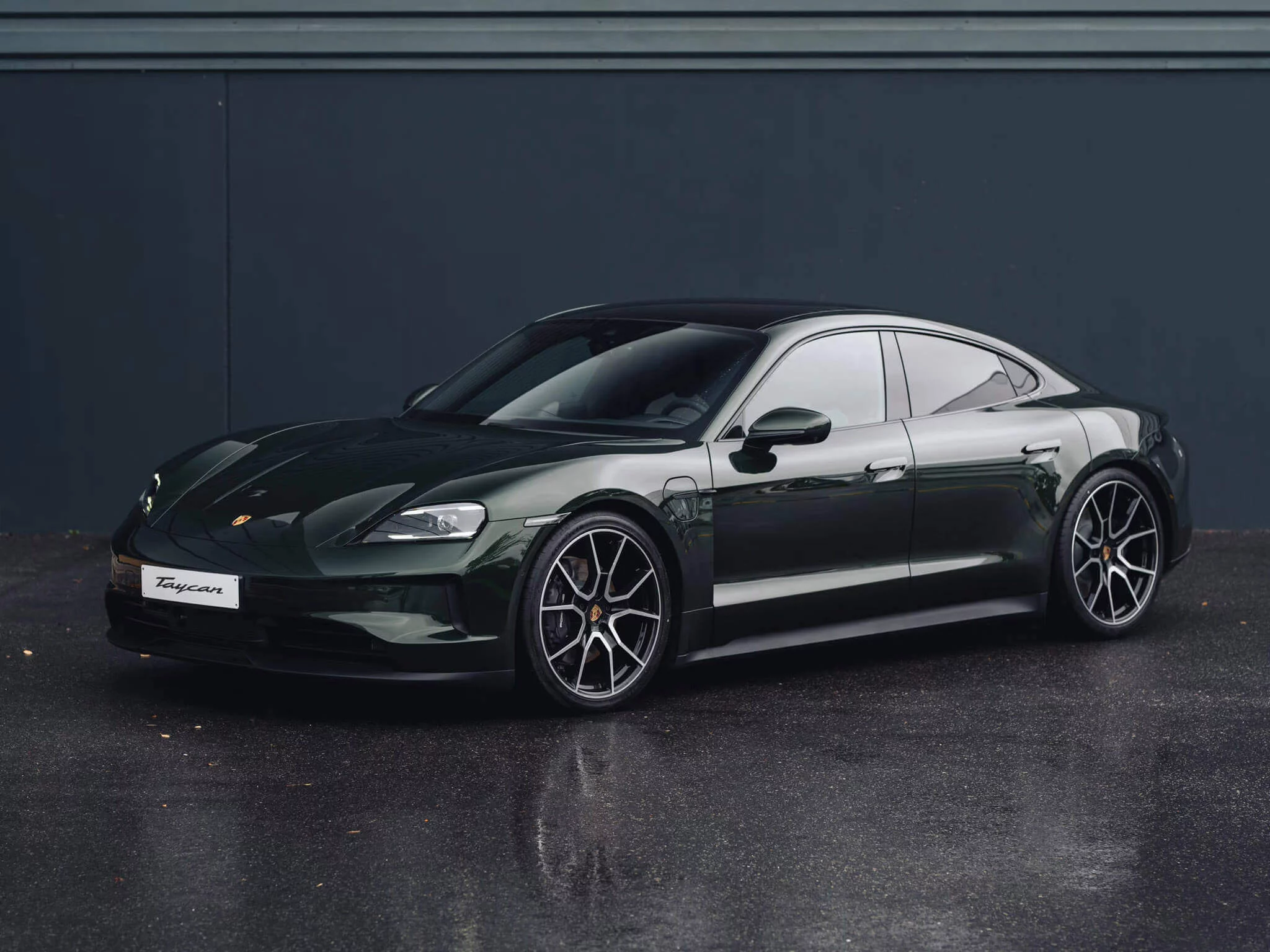 Oak Green Metallic Neo Porsche Taycan