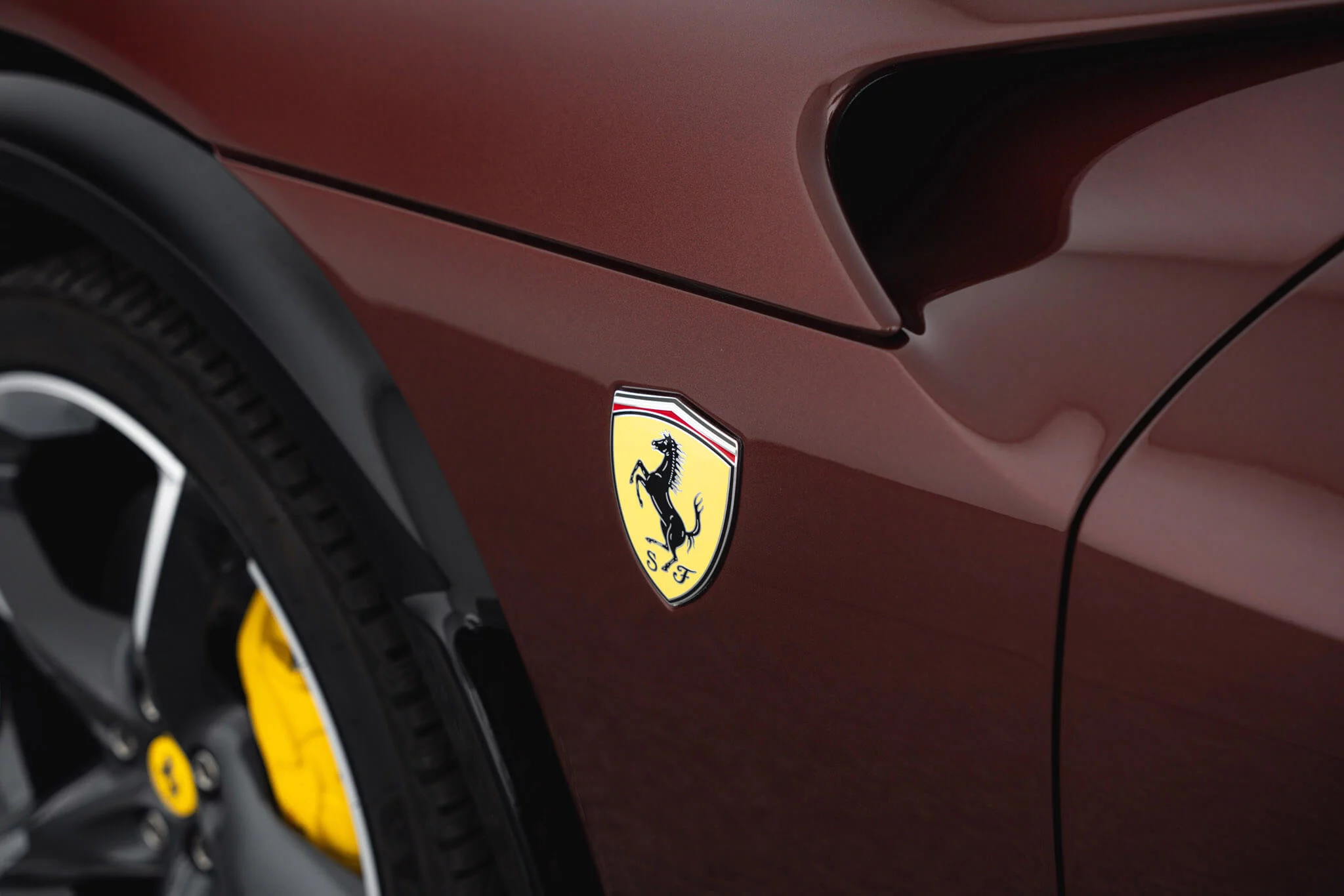 Prugna Ferrari Purosangue