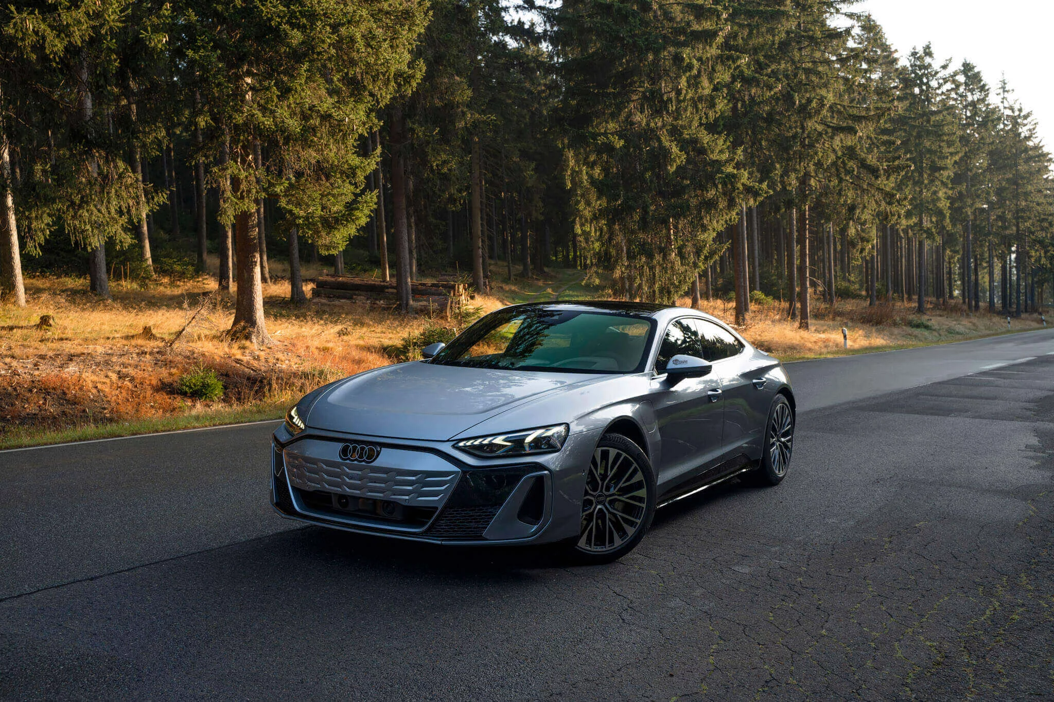 Florett Silver Audi e-tron GT