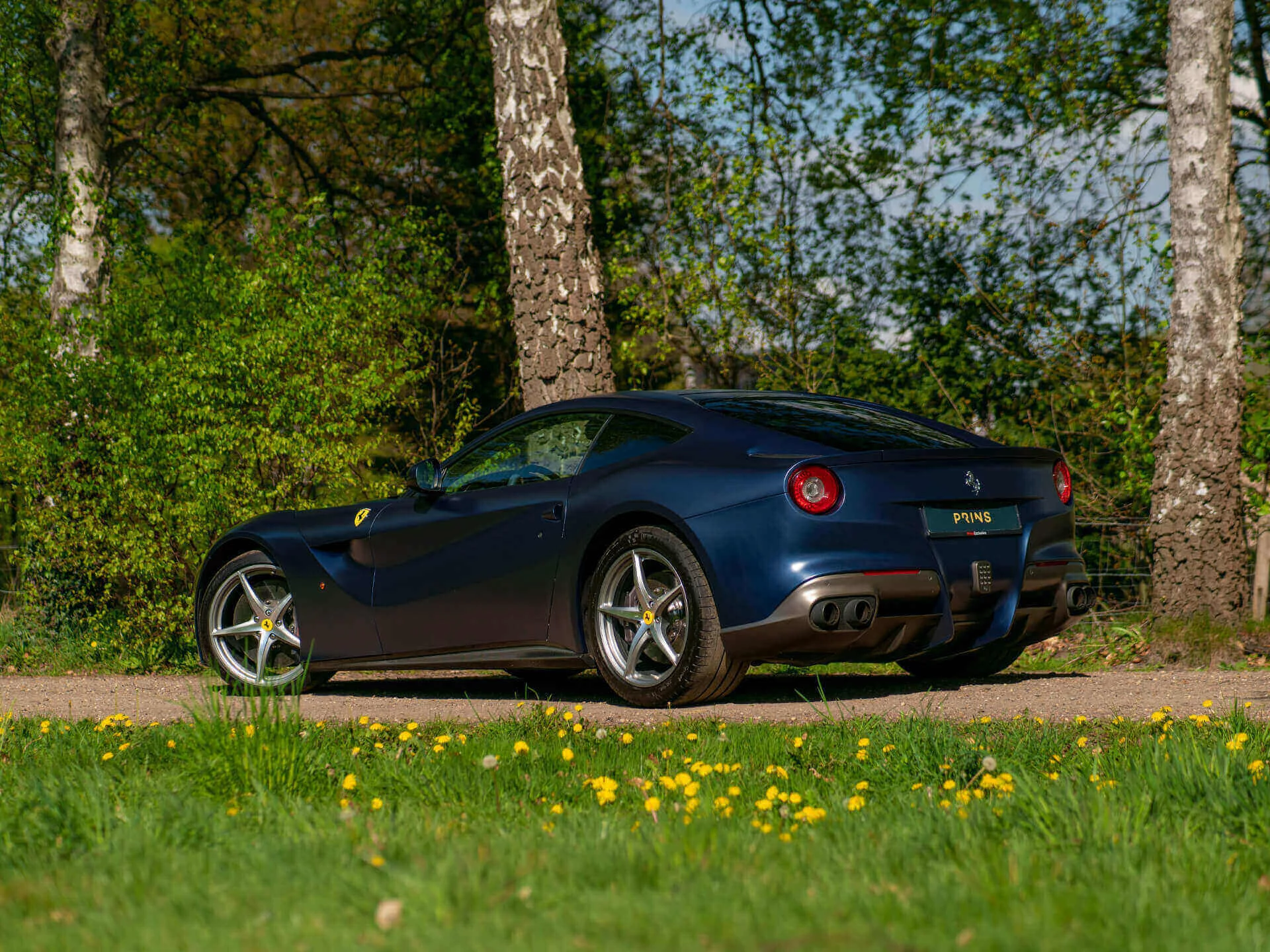 Blu Tour de France Opaco Ferrari F12