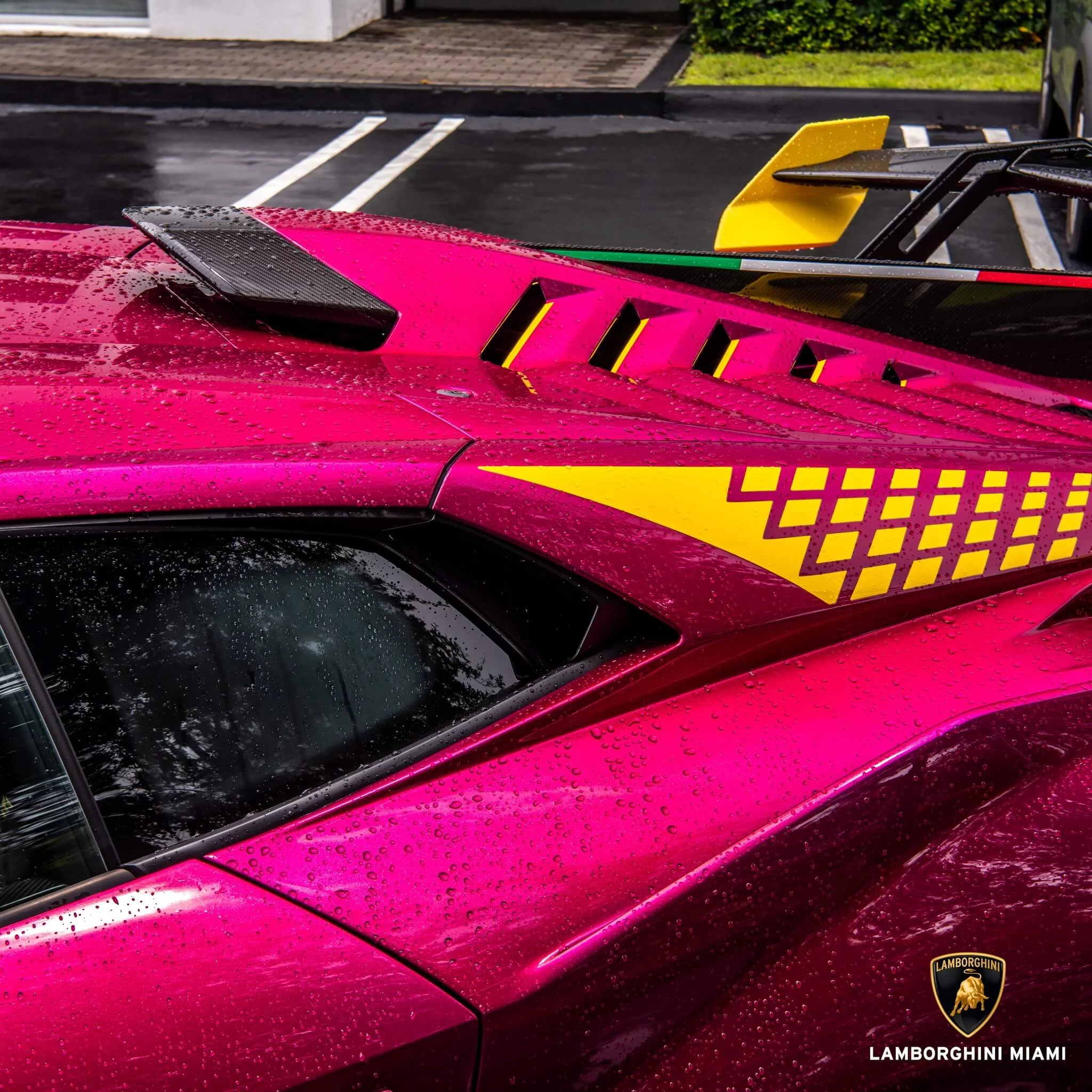 Viola Bast Lamborghini Huracán