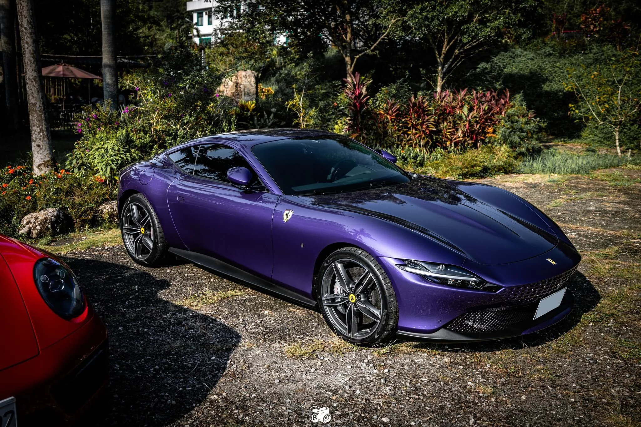 Violetto Dino Ferrari Roma