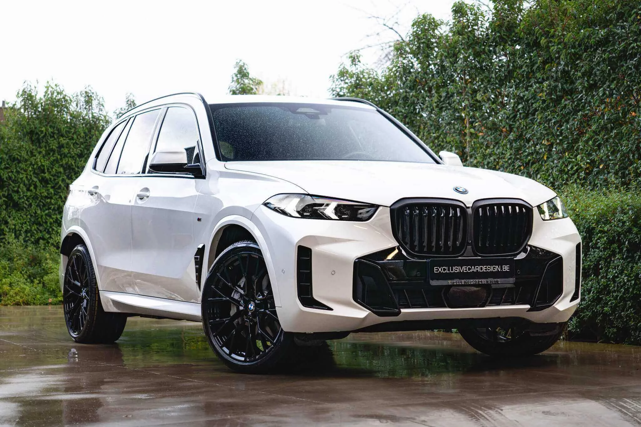 Mineral White BMW X5