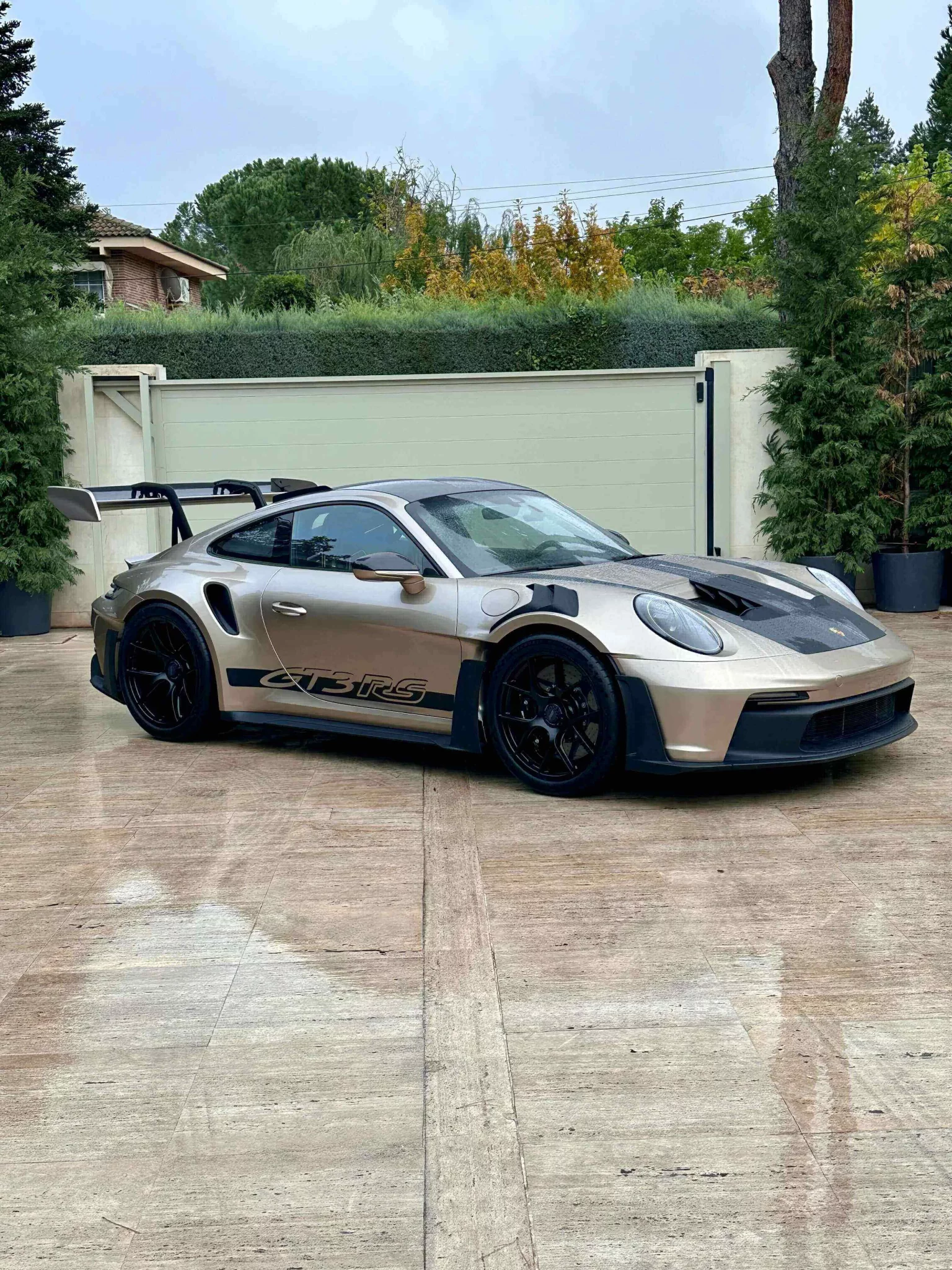 Palladium Metallic Porsche 911 GT3 RS