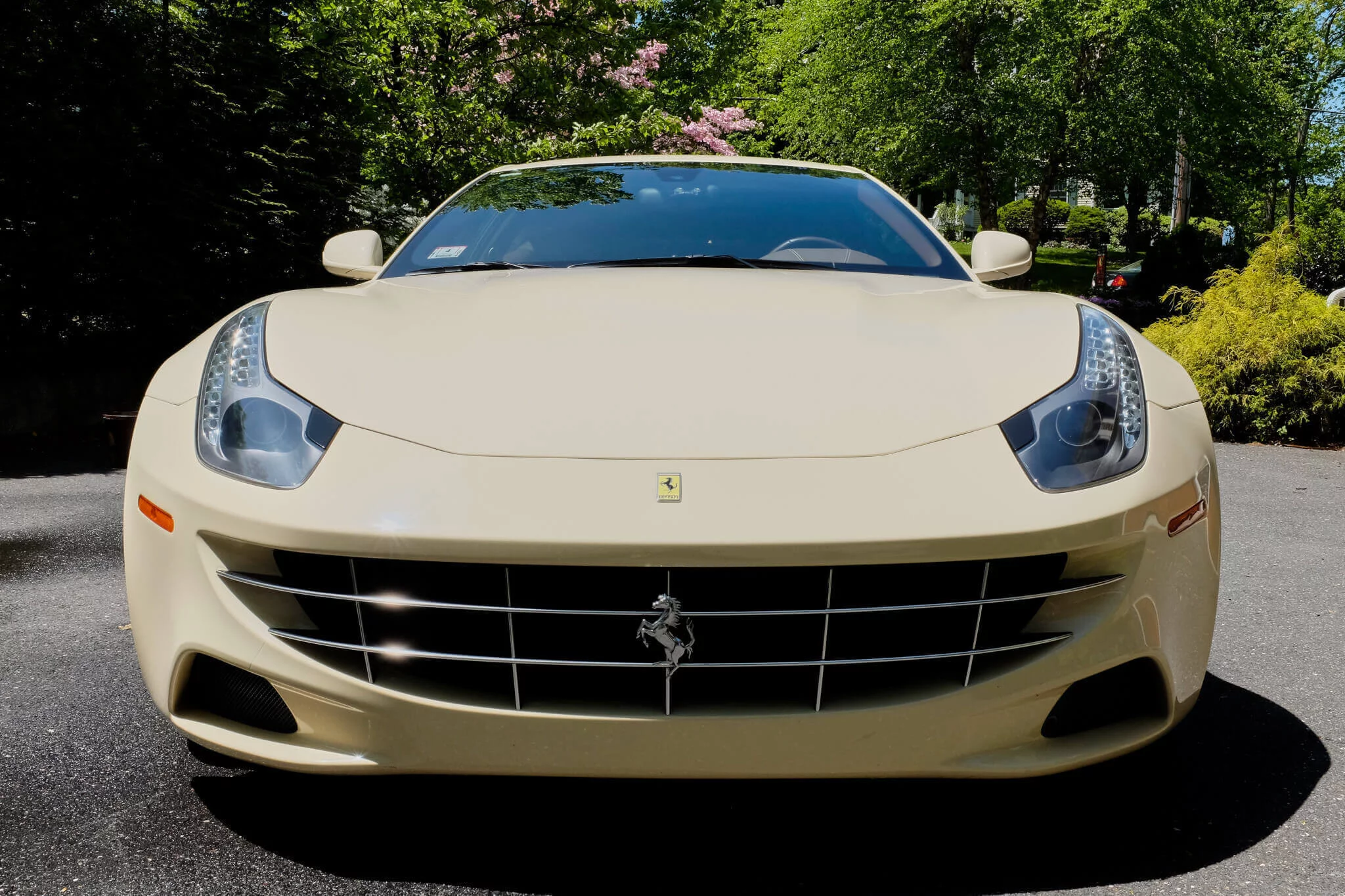 Avorio Ferrari FF