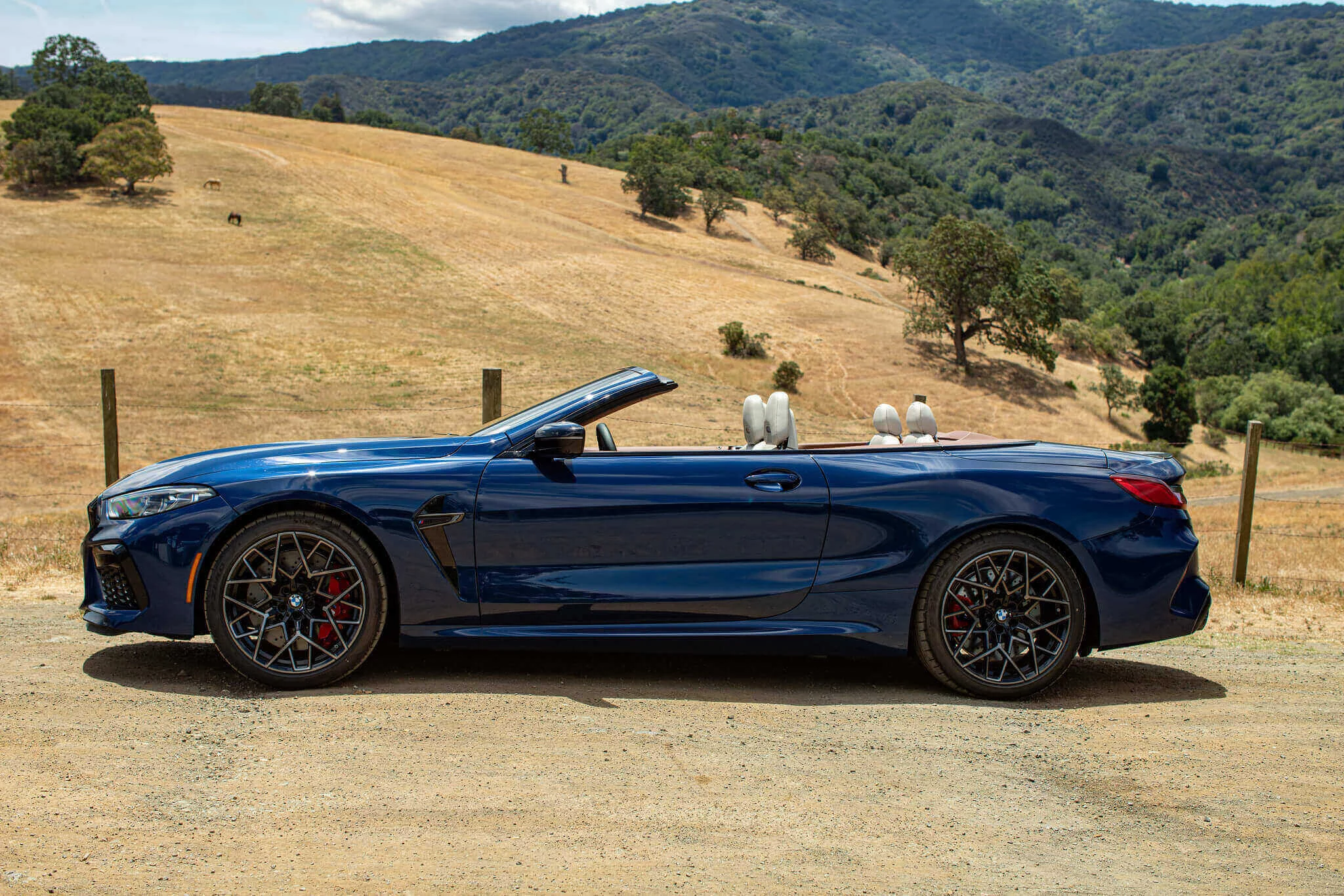 Blue Hera Mica BMW M8