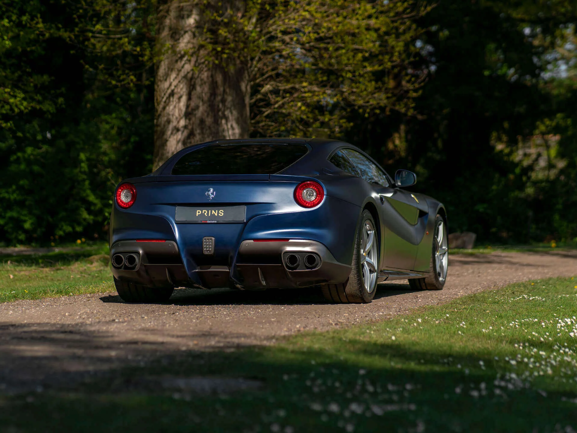 Blu Tour de France Opaco Ferrari F12