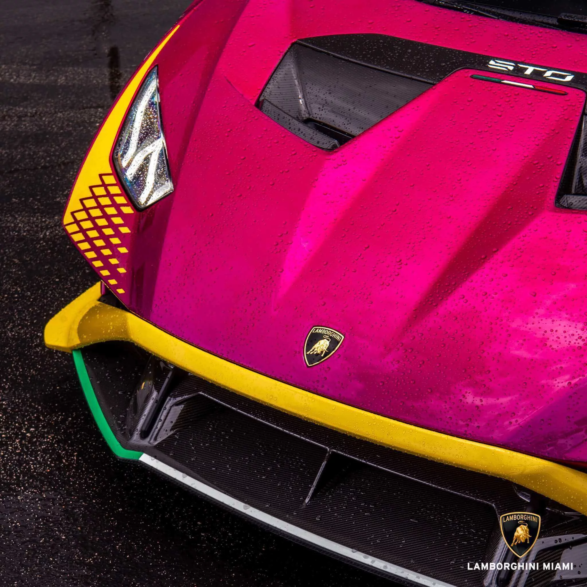 Viola Bast Lamborghini Huracán