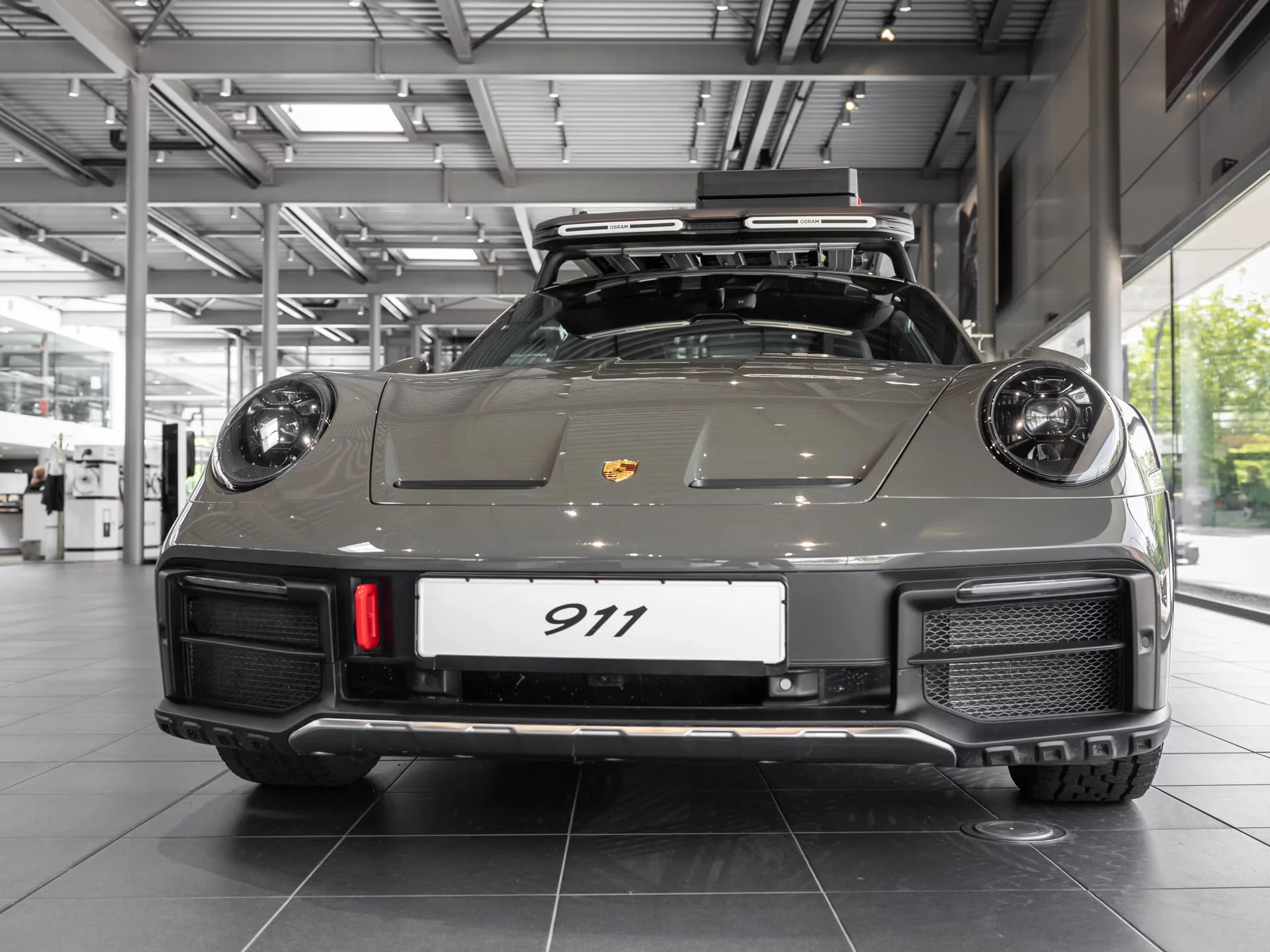 Alex Grey Porsche 911 Dakar