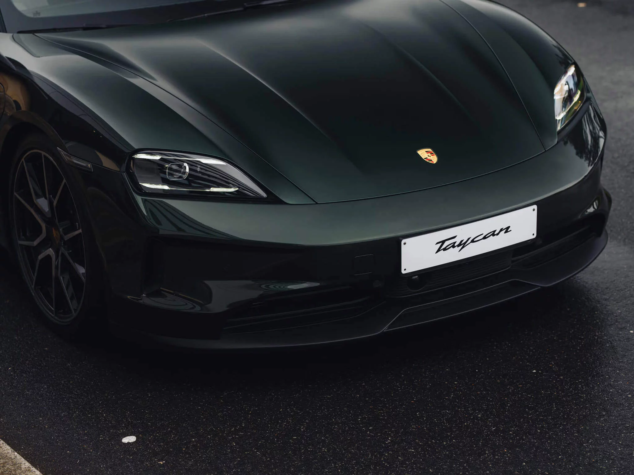 Oak Green Metallic Neo Porsche Taycan